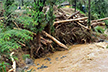 Incessant rains cause extensive damage in Kerala